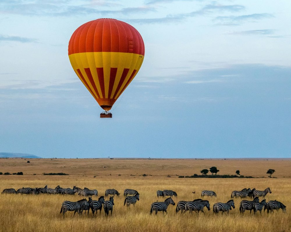 Balloon over zebras in the Maasai Mara