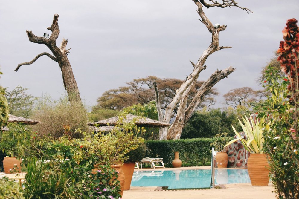 Hotel garden with a pool
